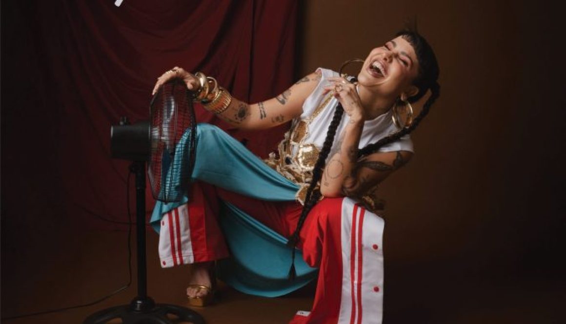 Portada Martina Vallenato FM Portada de Martina La Peligrosa