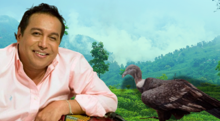 La metáfora de la vida: “El Cóndor Herido” post thumbnail image