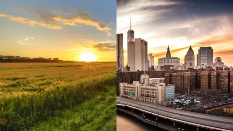 Rural vs urbano