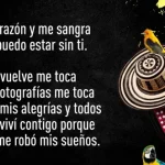 frase de la canción