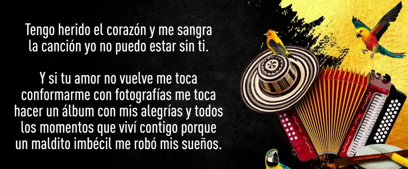 frase de la canción