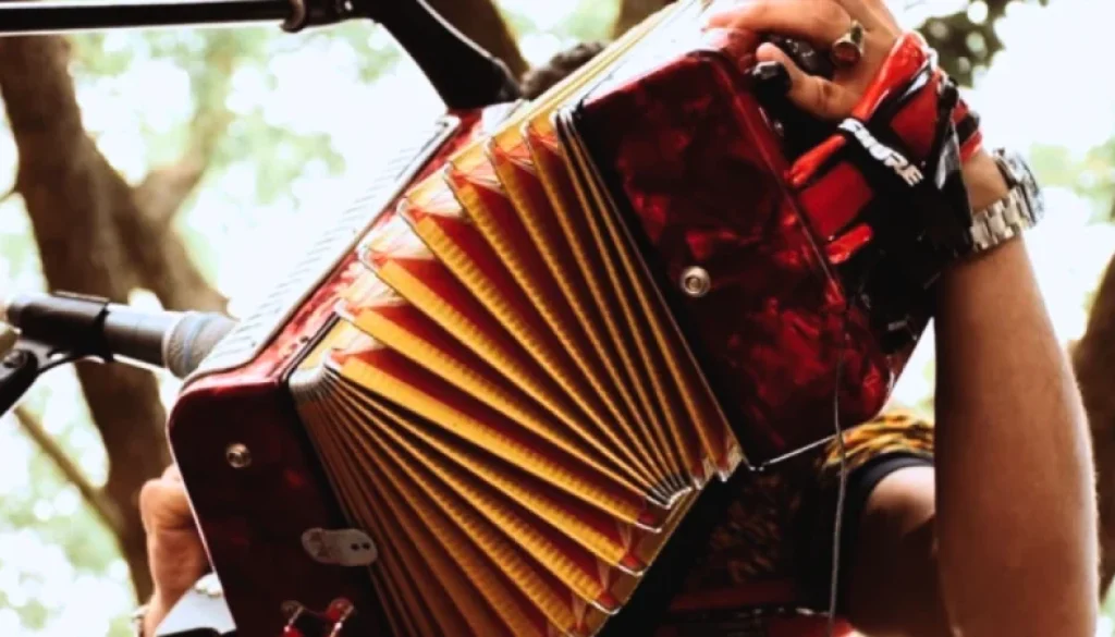 Papel del acodeonero actual Vallenato FM acordeonero
