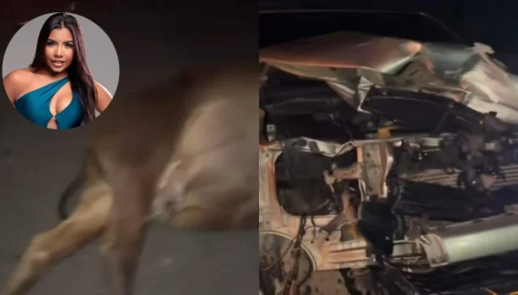 Natalia Curvelo accidente