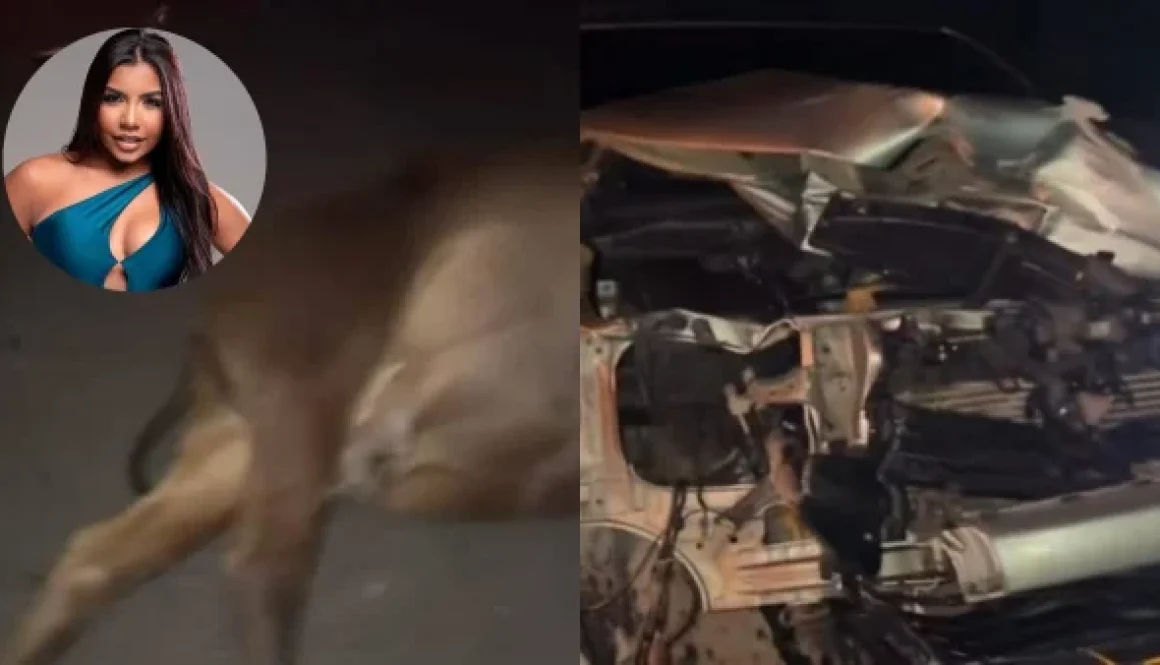 Natalia Curvelo accidente