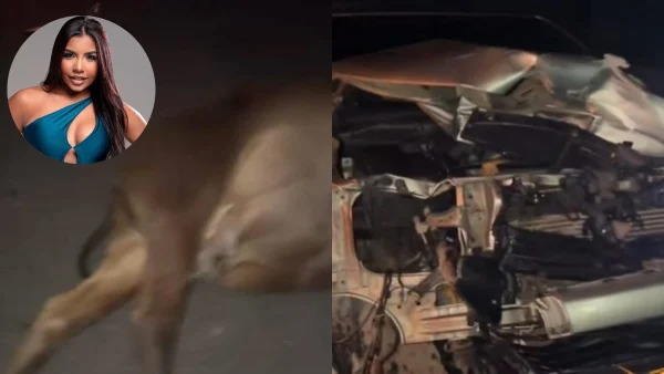 Natalia Curvelo accidente