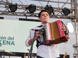 Rey vallenato 2